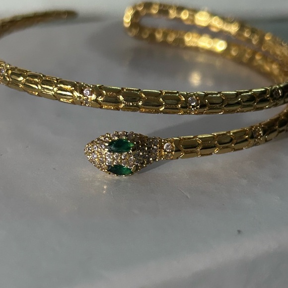 Snake Adjustable Bangle - Picture 6 of 9